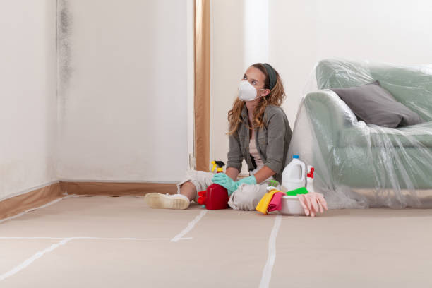 Reliable Mold Removal contractor in Kings Park, VA by WQB Mold Removal